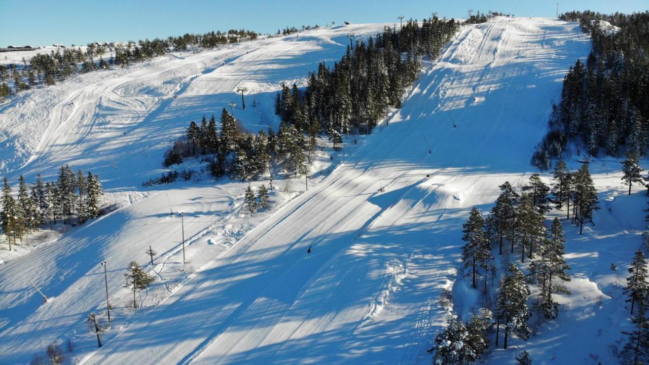 Ski Lodge Gautefall Exterior foto